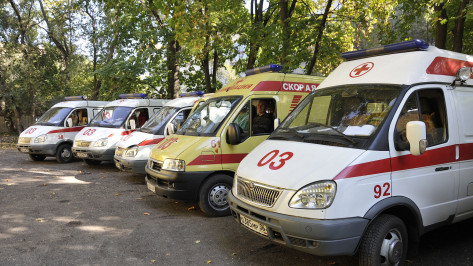 Федеральные власти передадут Воронежской области 27 «скорых» и 138 школьных автобусов