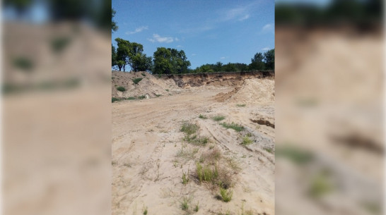 В Воронежской области выявили незаконную добычу песка на площади 2,4 га