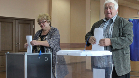 В Терновском районе выбрали депутатов облдумы и местных советов