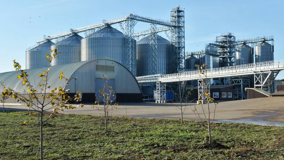 Воронежский губернатор анонсировал строительство завода по переработке зерна