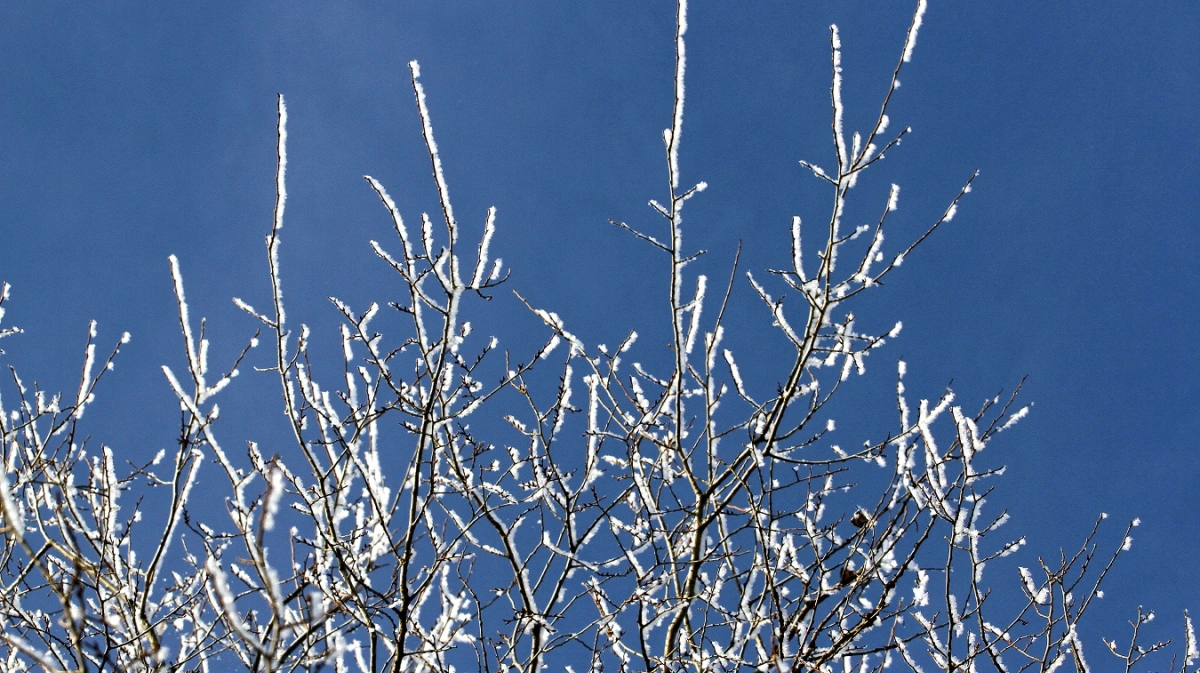 672 8 столбиком. 36:4 в столбик. 684 4 столбиком. 4,36:(3,15+2,3) +(0,792-78) -350 столбиком. 36 4 8 столбиком.