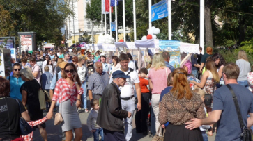 Власти запланировали 142 праздничных акции ко Дню города в Воронеже