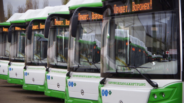 Стало известно, когда в Воронеже может измениться стоимость проезда в автобусе