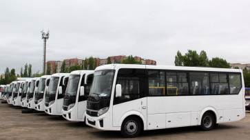 В часы пик в центр Воронежа пустят больше автобусов