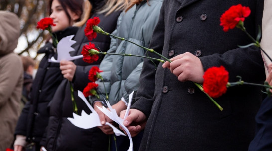 Воронежцев пригласили к участию в памятной акции «Дни белых журавлей»