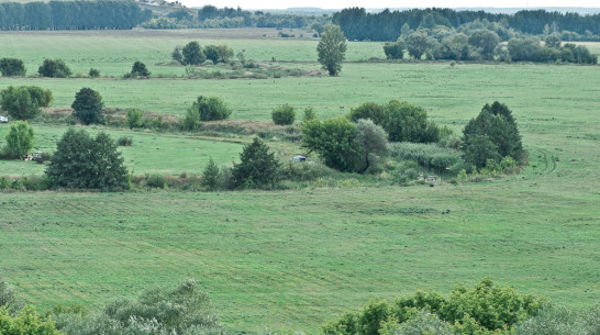 Гид РИА «Воронеж»: Открытие фестиваля «Чернозем» в Дивногорье