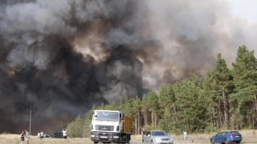 Число лесных пожаров в Воронежской области за год выросло вдвое