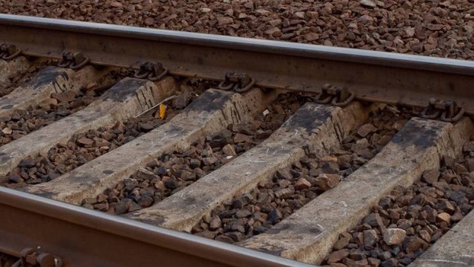 В Воронежской области под поезд попали 2 человека за 3 дня