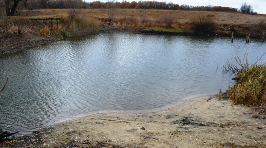 Обмелевшие пруды  Нижнедевицкого  района исключат из перечня гидротехнических сооружений 