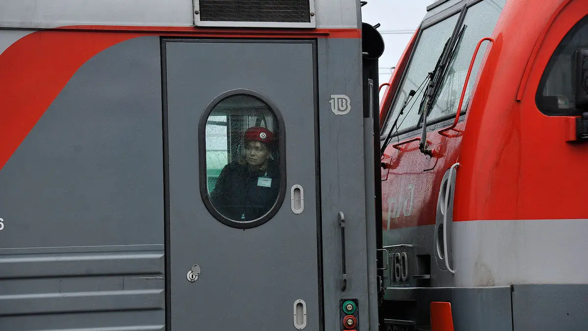 Поезд из Санкт-Петербурга в Адлер задержали под Воронежем