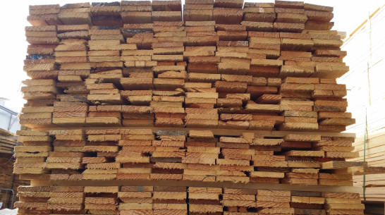 В Воронеже директора фирмы оштрафовали за контрабанду леса в Туркменистан