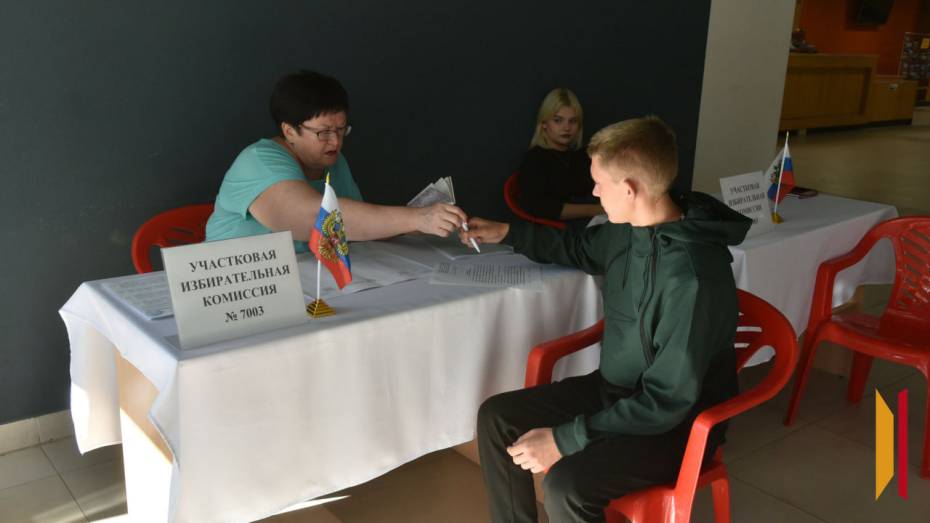 Находящиеся в Воронеже куряне смогут принять участие в досрочном голосовании на выборах губернатора