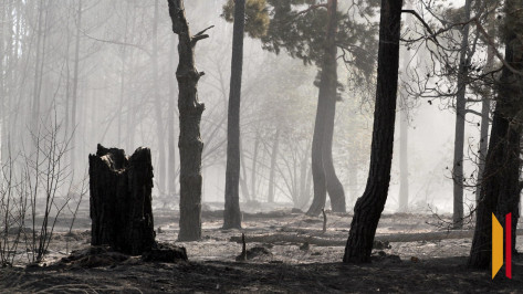 Высокая пожароопасность в Воронежской области сохранится до 15 сентября