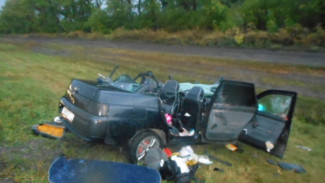 Пострадавшая в ДТП годовалая девочка умерла в больнице Воронежской области 