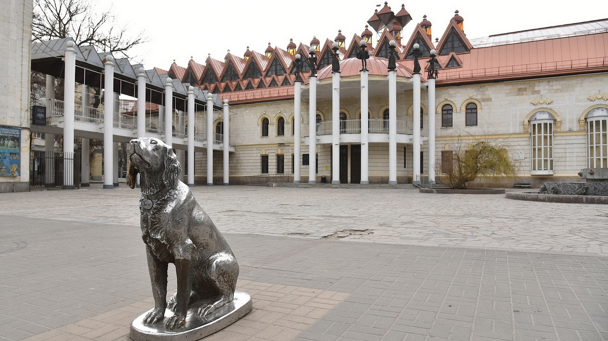 Памятник белому биму в воронеже фото