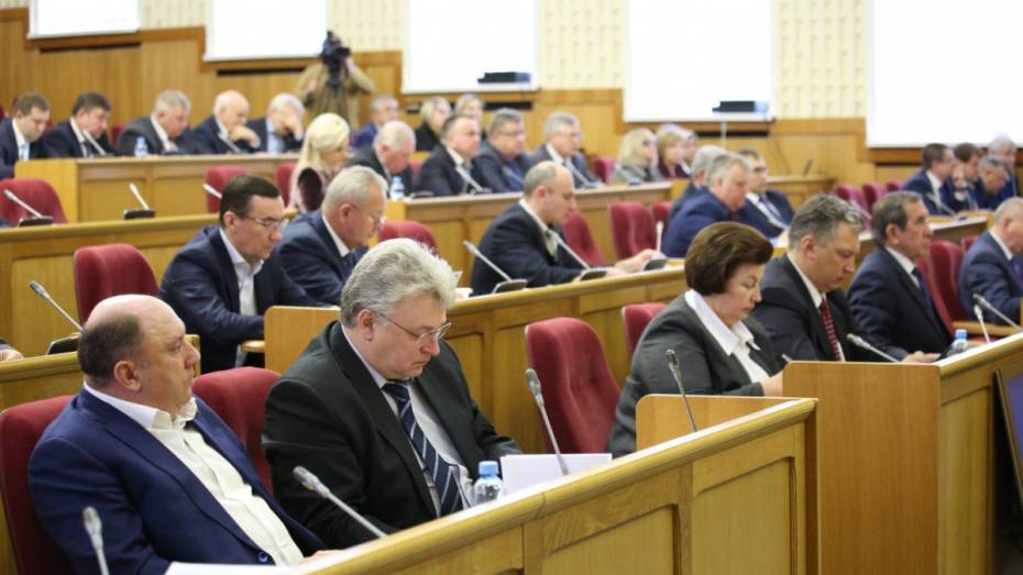 Депутаты Воронежской облдумы скорректировали бюджет региона