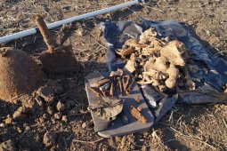 Останки 46 красноармейцев нашли в поле под Воронежем