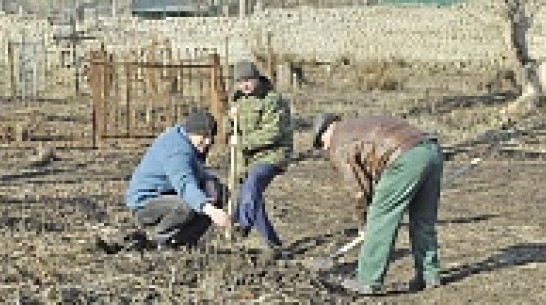 В Бутурлиновке благоустроят старое городское кладбище