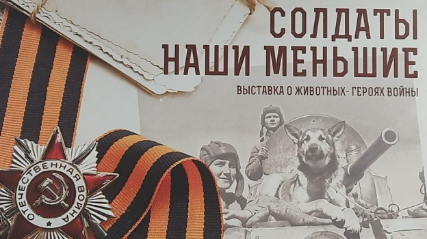Выставка о животных – героях ВОВ «Солдаты наши меньшие» откроется под Воронежем