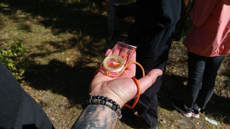 В Воронежской области за неделю пропало 25 человек