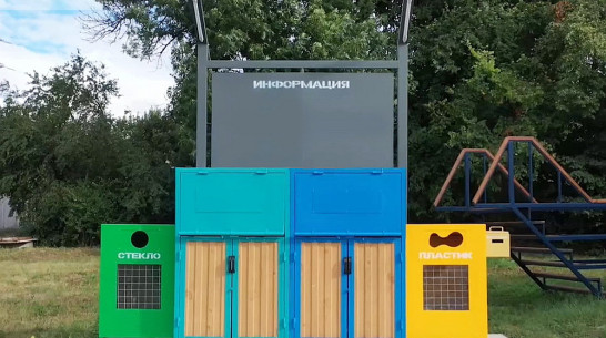 В Воронежской области выделили 500 млн рублей на систему раздельного сбора мусора