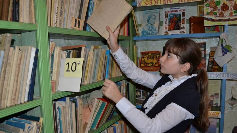 В Грибановке на покупку оргтехники и книг для библиотеки потратят 92 тыс рублей