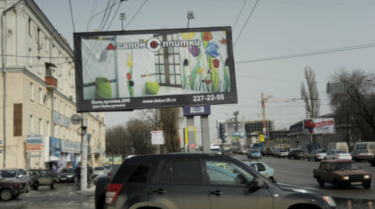 В центре Воронежа за 2018 год демонтировали 1,4 тыс рекламных конструкций