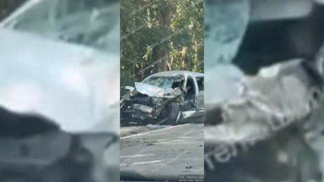 Машина всмятку: жуткое ДТП в воронежском Шилово попало на видео