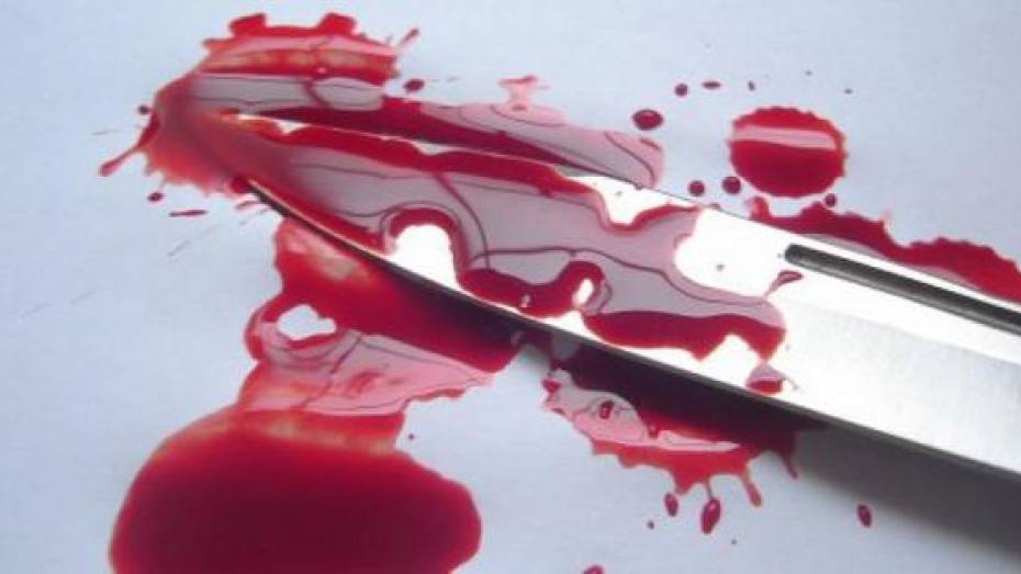 В Эртильском районе пьяная женщина убила мужчину, угрожавшего ножом ее гражданскому мужу