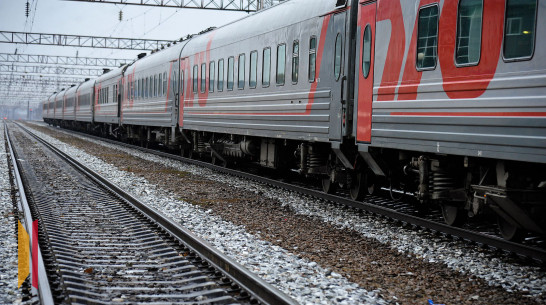 Из Воронежа могут запустить поезда в Санкт-Петербург и Минеральные Воды