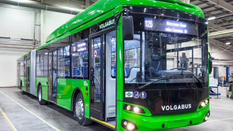 На дорогах Воронежа появятся 45 автобусов с системой «Говорящий город»