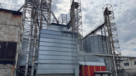 В Воронежской области за 350 млн рублей продают маслозавод с элеватором