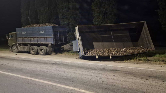 В Воронежской области легковушка врезалась в дорожный знак из-за сахарной свеклы на дороге