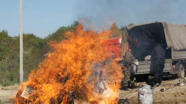 Наркополицейские сожгли сто килограммов запрещенных веществ