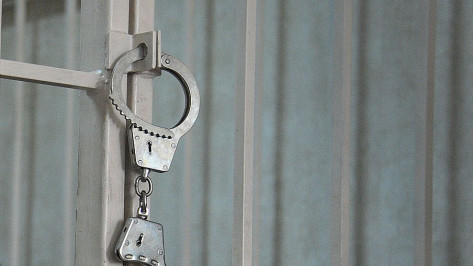 Воронежец получил 2 года колонии строгого режима за взятку полицейскому