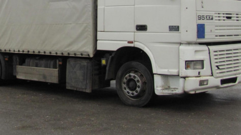 В Воронежской области под колесами своей фуры погиб дальнобойщик