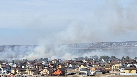В Воронеже потушили ландшафтный пожар площадью 1,5 га