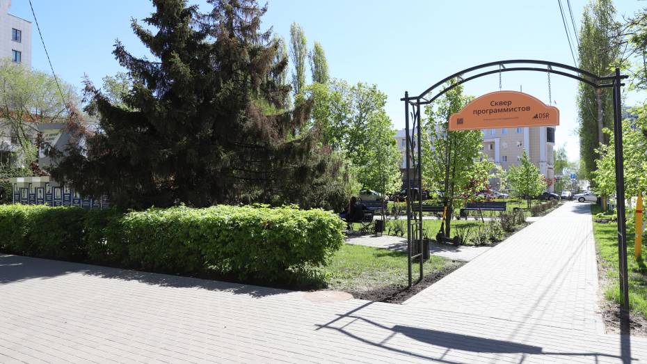 Воронежские программисты благоустроили сквер на улице Кирова