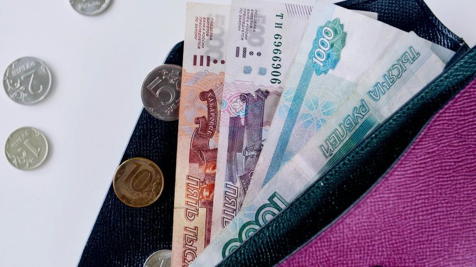 Среднюю зарплату в малых населенных пунктах Воронежской области оценили в 39 тыс рублей