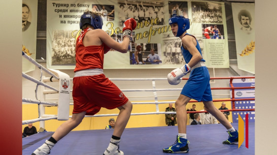 Более сотни юных боксеров объединил турнир «На призы СК «Золотые перчатки» в Воронеже
