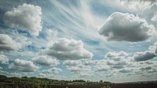 В Воронеже первая неделя осени обойдется без слякоти