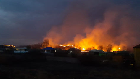 Райцентр Воронежской области окружили пожары