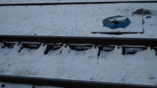 Грузовой поезд столкнулся с «девяткой» в Воронежской области