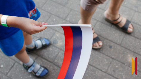 В Воронеже обсудили символизм российского триколора и его роль в патриотическом воспитании молодежи