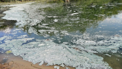 Жители Воронежской области пожаловались на неприятный запах и пену в реке Богучарка