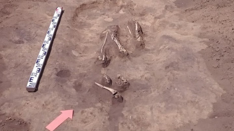 В воронежском микрорайоне Шилово раскопали древний курган