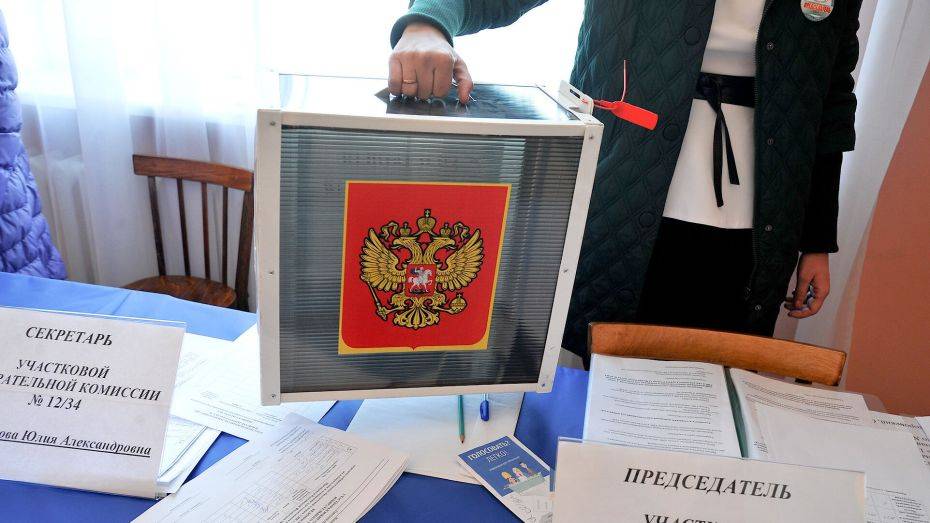 Воронежцам показали, как будет выглядеть бюллетень для голосования на выборах президента