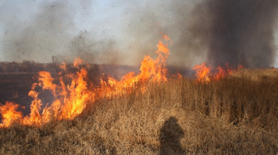 От весенних палов в Богучарском районе начали загораться домашние постройки