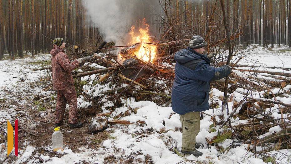 Неликвидную древесину начали сжигать в воронежских лесничествах