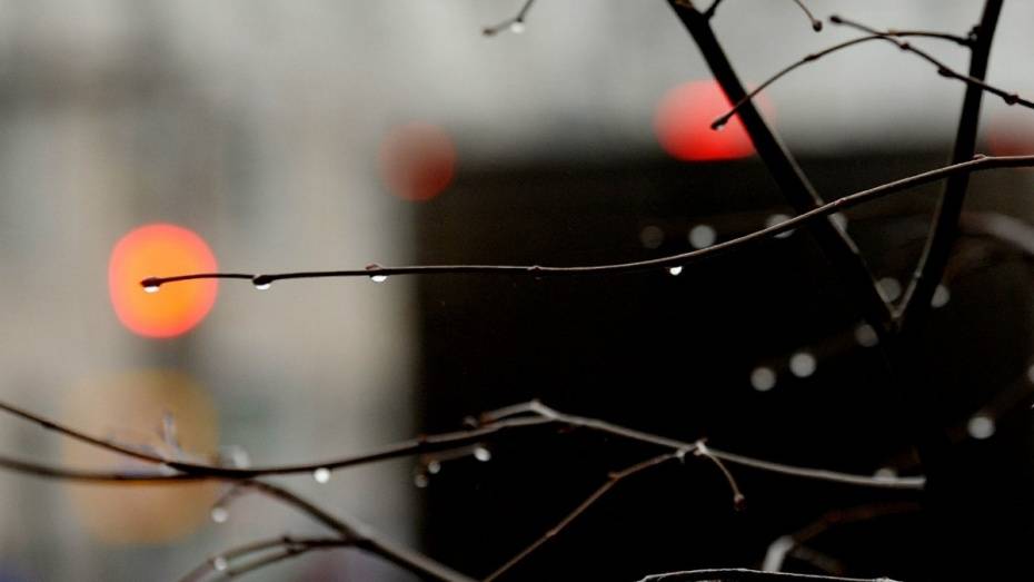 В конце недели в Воронеже пройдут небольшие дожди